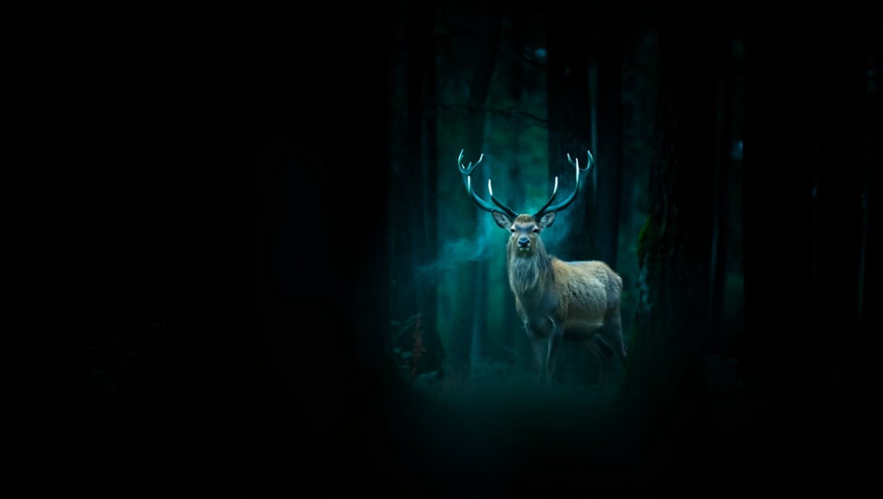 Моят Оракул